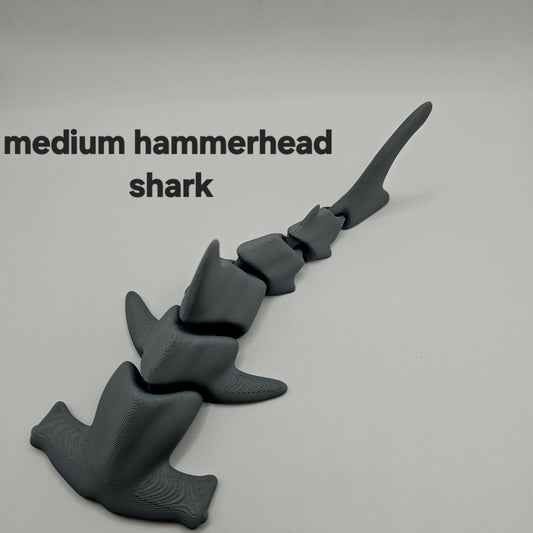 MARINE LIFE "HAMMERHEAD SHARKS"